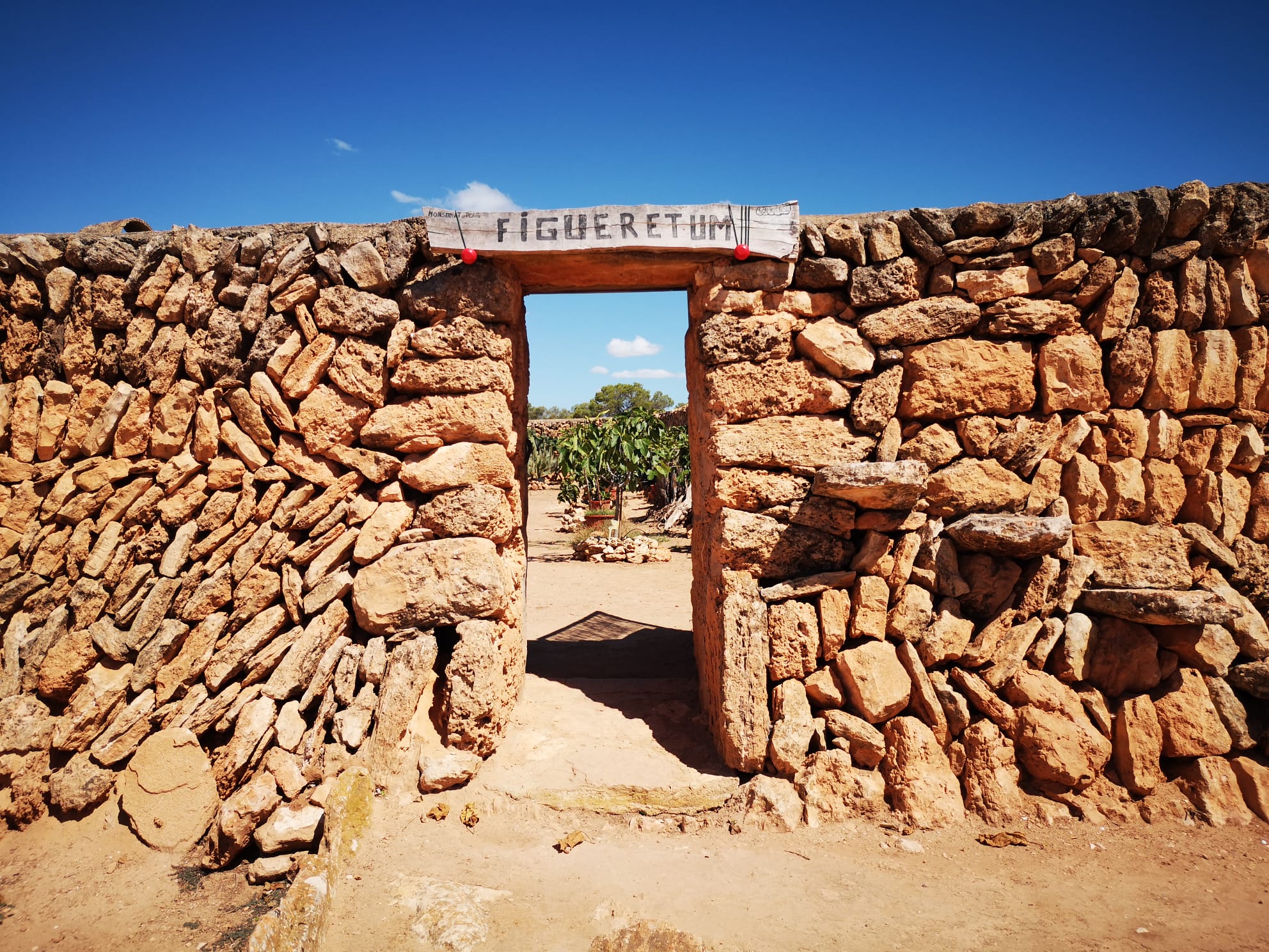1783272832_76_figueres_i_figues.jpg Imatge per al bloc 7